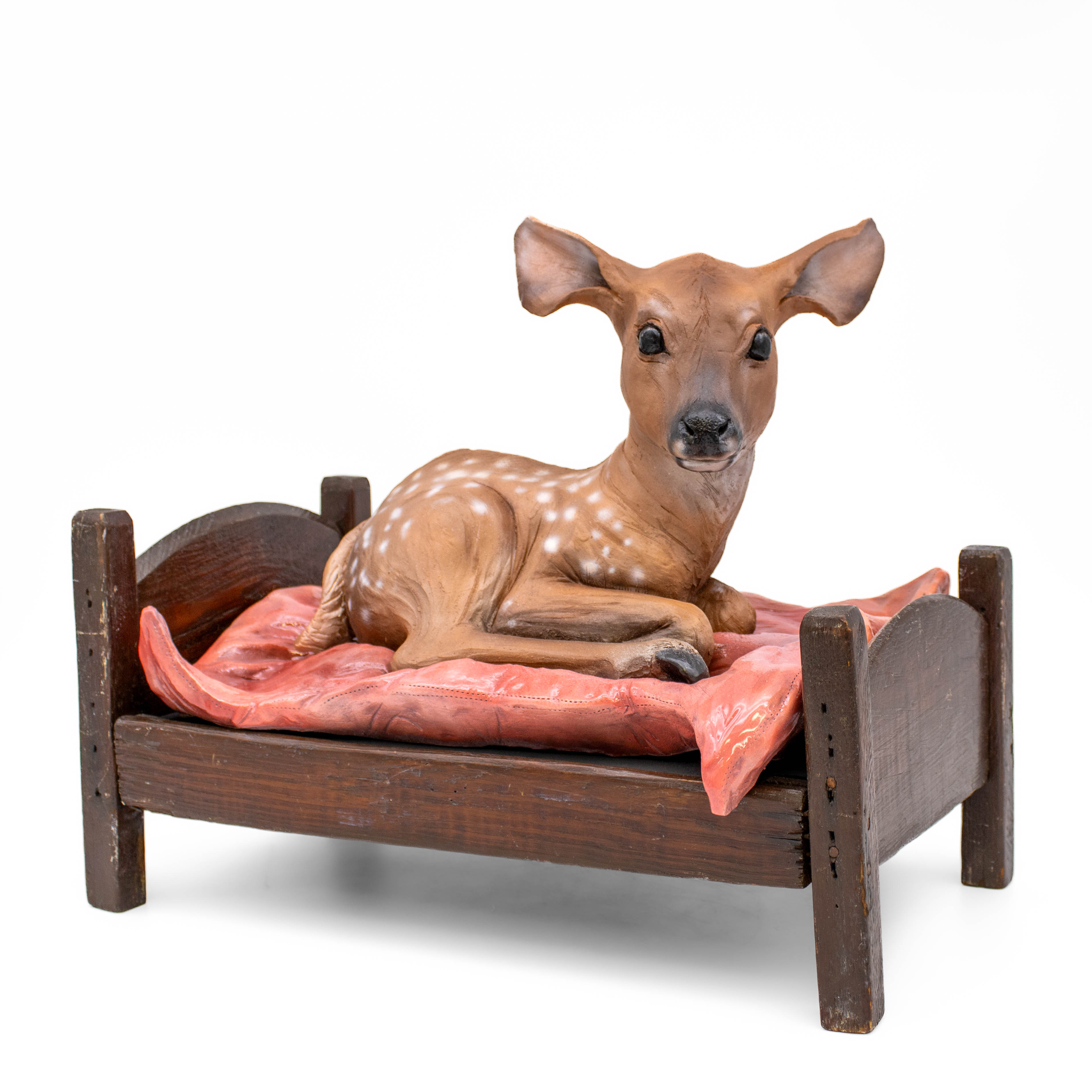 Kept by Joey Downey, a deer resting on a bed